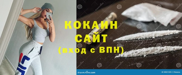 сатива Армянск