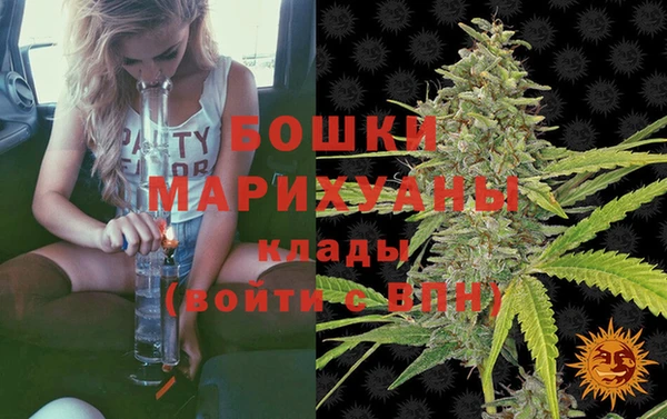 сатива Армянск